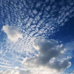 男女做爱视频18
