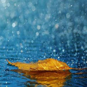 男女做爱视频18
